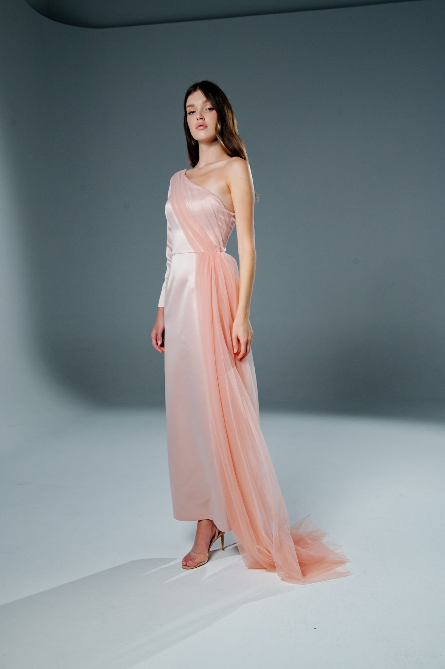 Blush Taffeta Tulle Dress