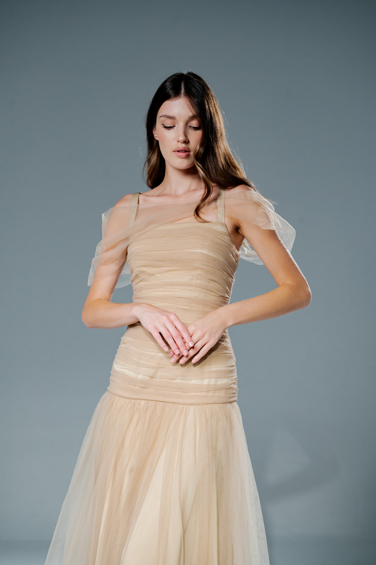 Nude Pleated Tulle Dress